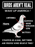 Birds Aren't Real is a satirical conspiracy theory which posits that birds are actually drones operated by the United States government to spy on American citizens. A journalist described Birds Aren't Real as ''a joke that thousands of people are in on''.